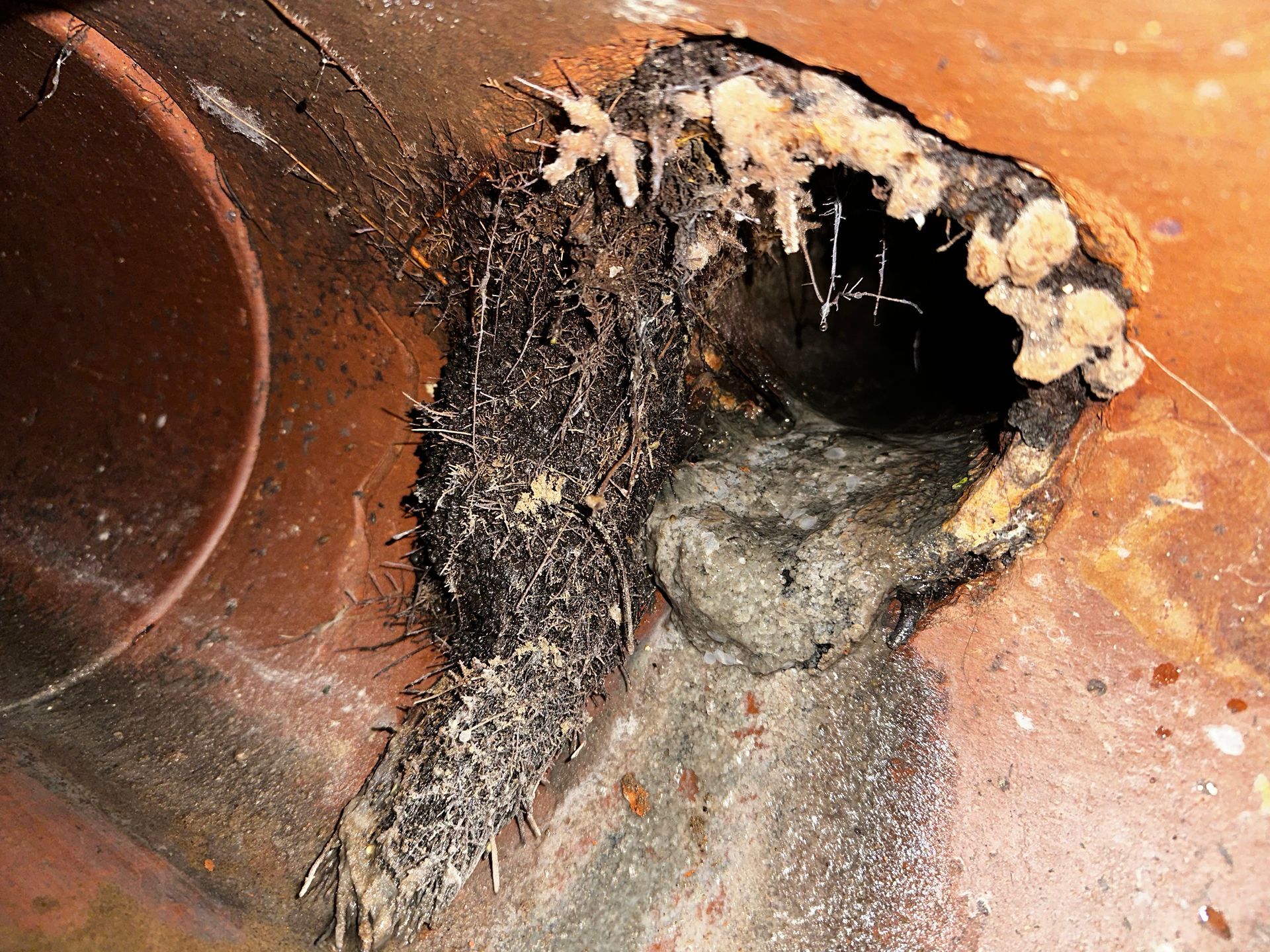 Close-up of a damaged pipe with debris and a visible hole; brown and black colors dominate.