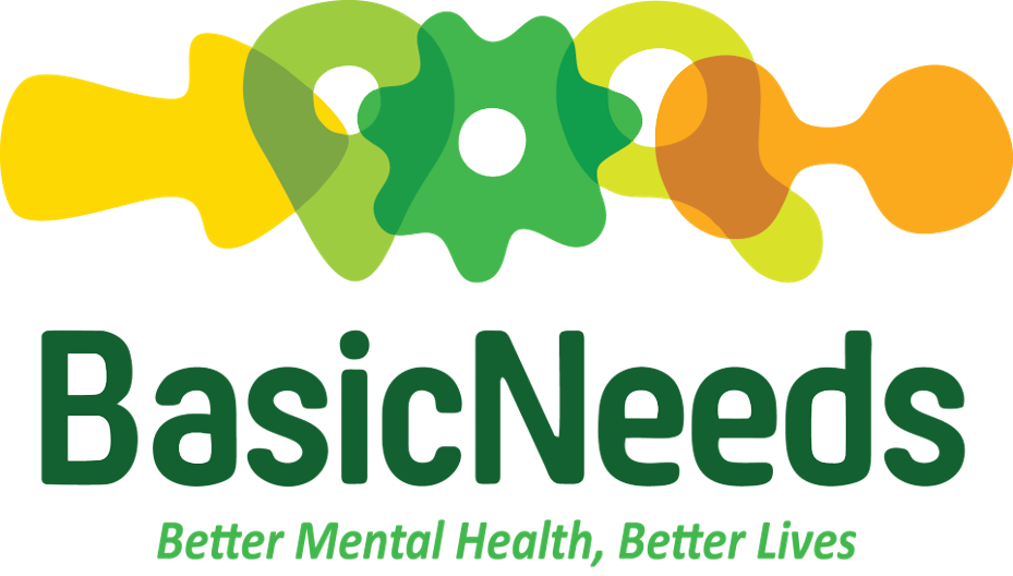 Basic Needs Basic Rights Logo