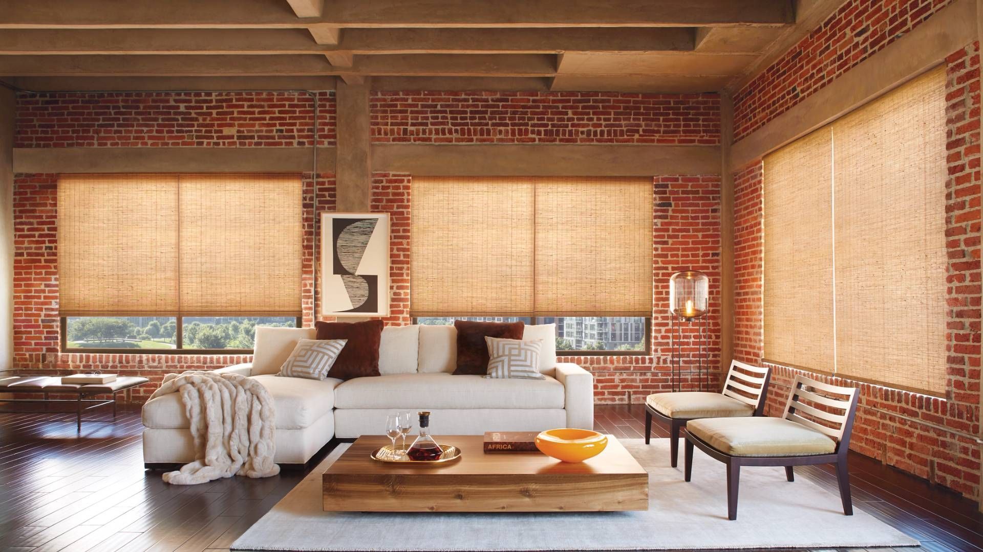 A contemporary loft apartment featuring woven wood shades near St. Louis Park, MN