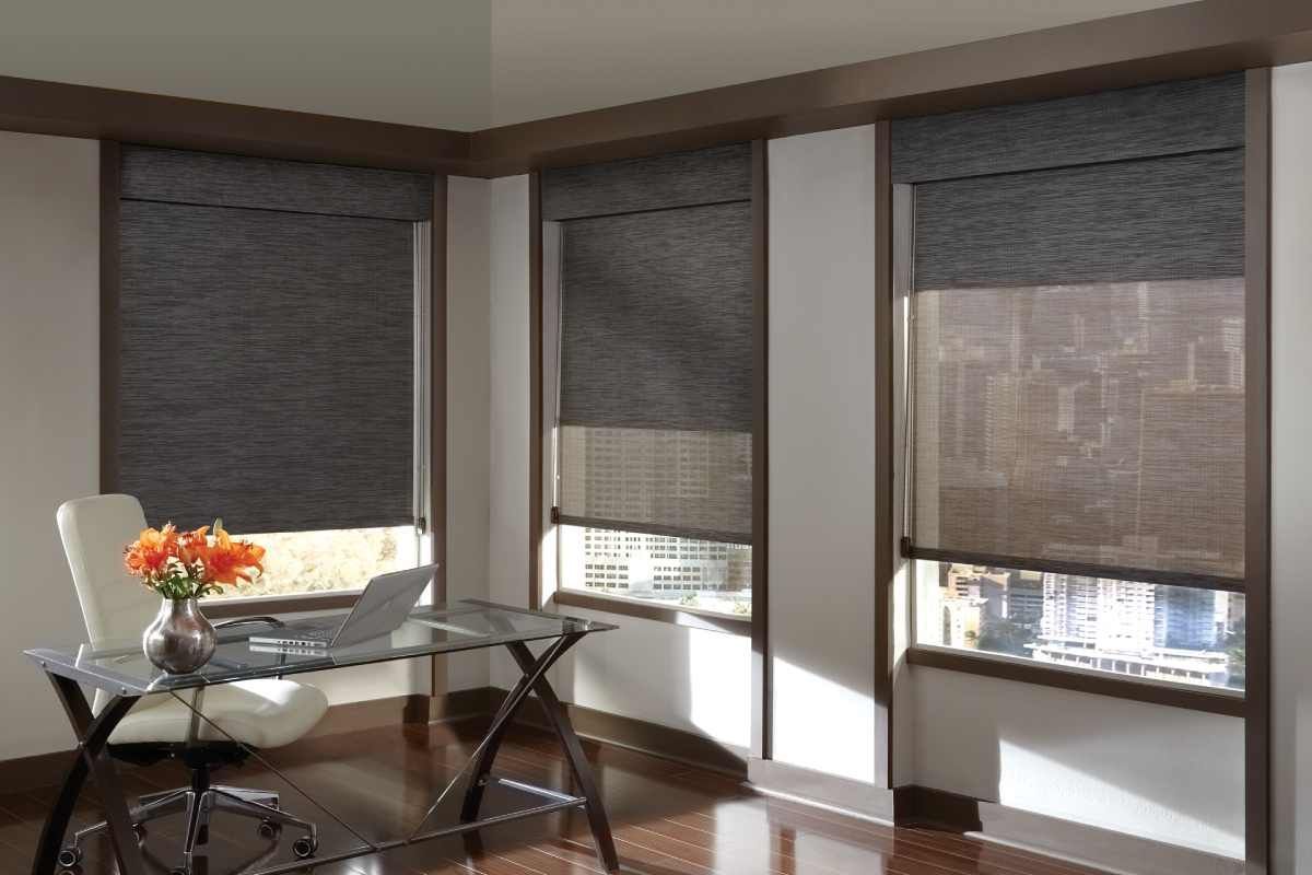 Hunter Douglas Designer Screen Shades near St, Louis Park, Maple Grove, Burnsville, and Woodbury, Minnesota (MN)