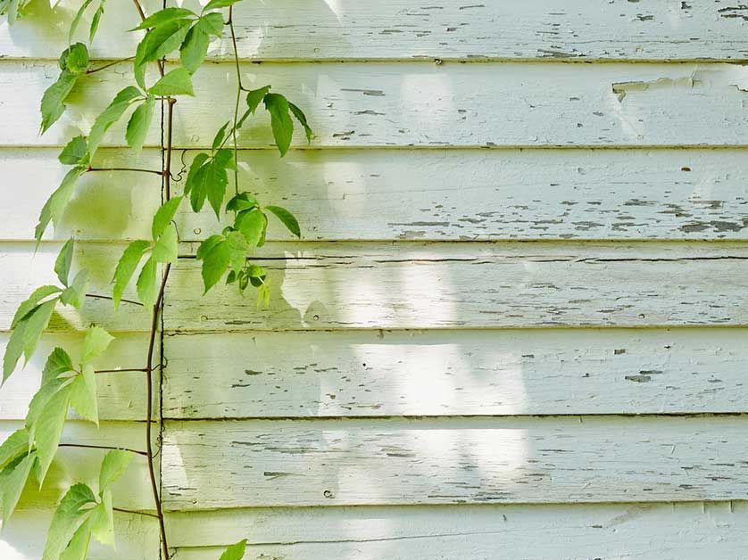 Damaged Siding