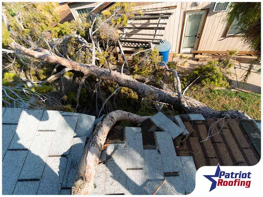 A tree has fallen on the roof of a house.