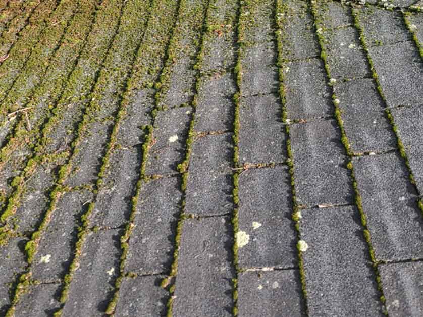 Impact of Humidity on Roof Performance and Integrity