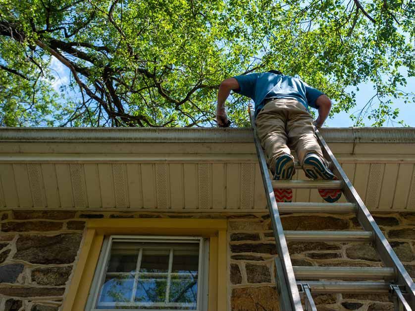 Roofing Maintenance