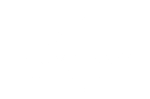 Plum Crazy Clean-Up logo