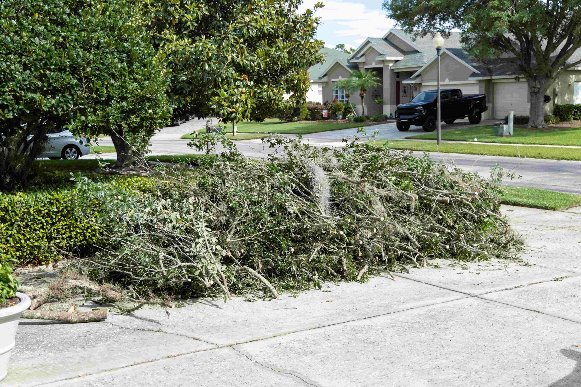Pile of yard branches and leaves on a suburban sidewalk near parked cars and houses
