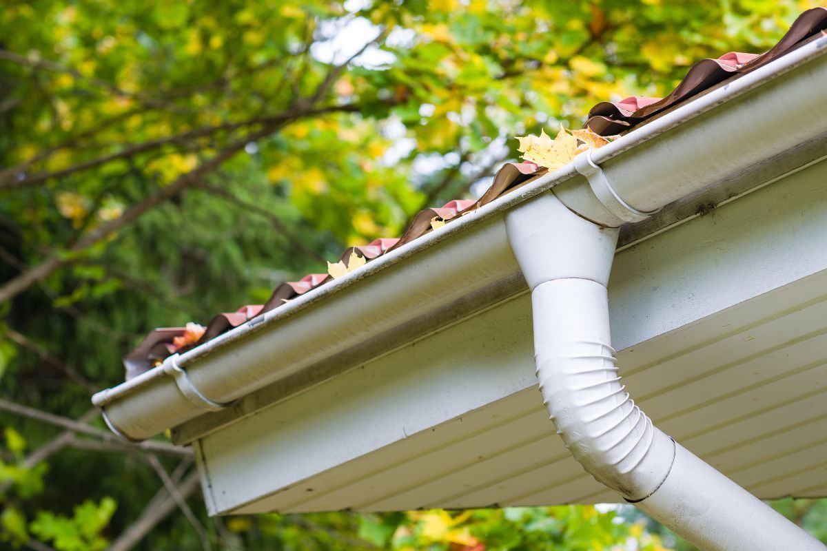Fall foliage clogging up the gutters