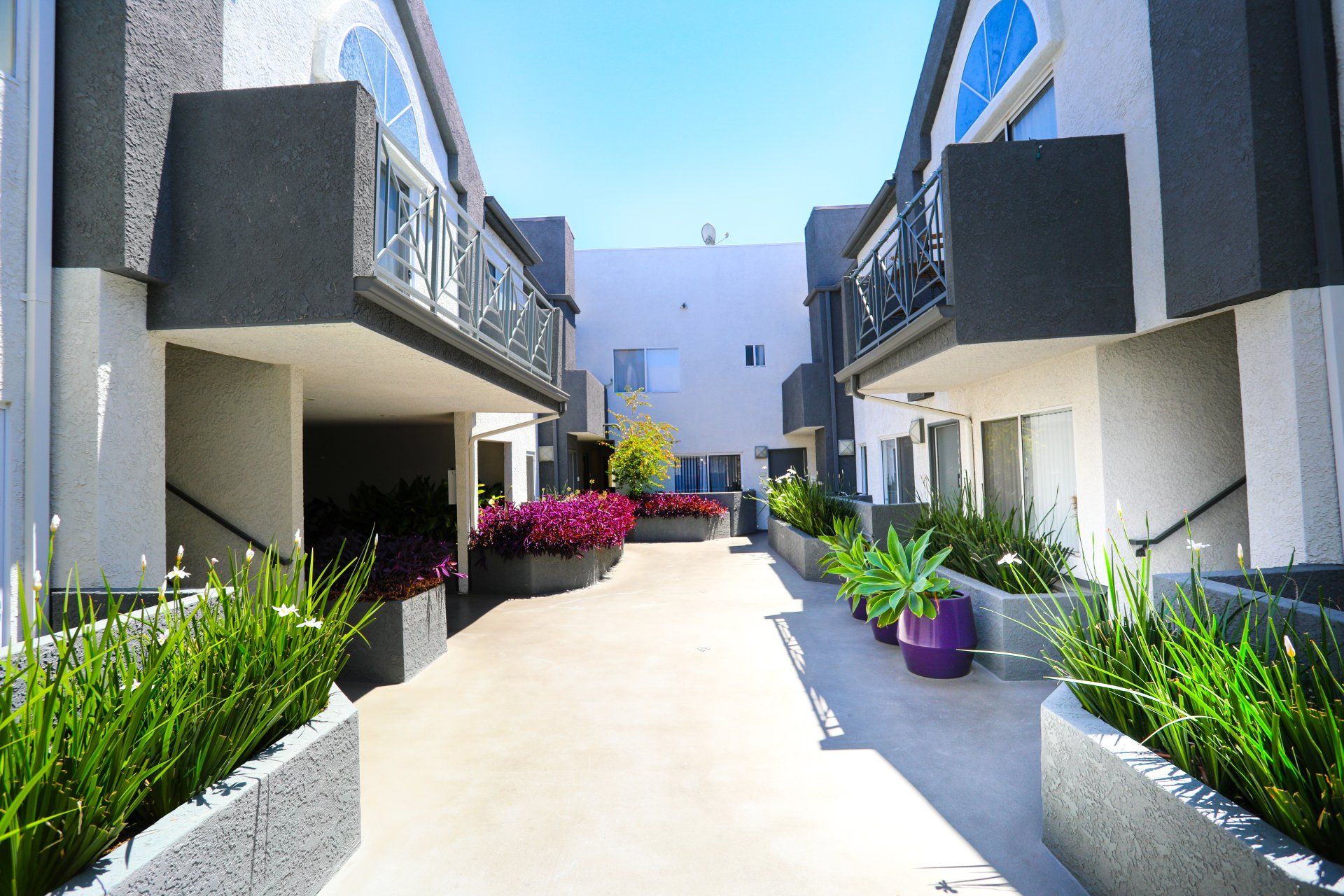 Merlot Property Image