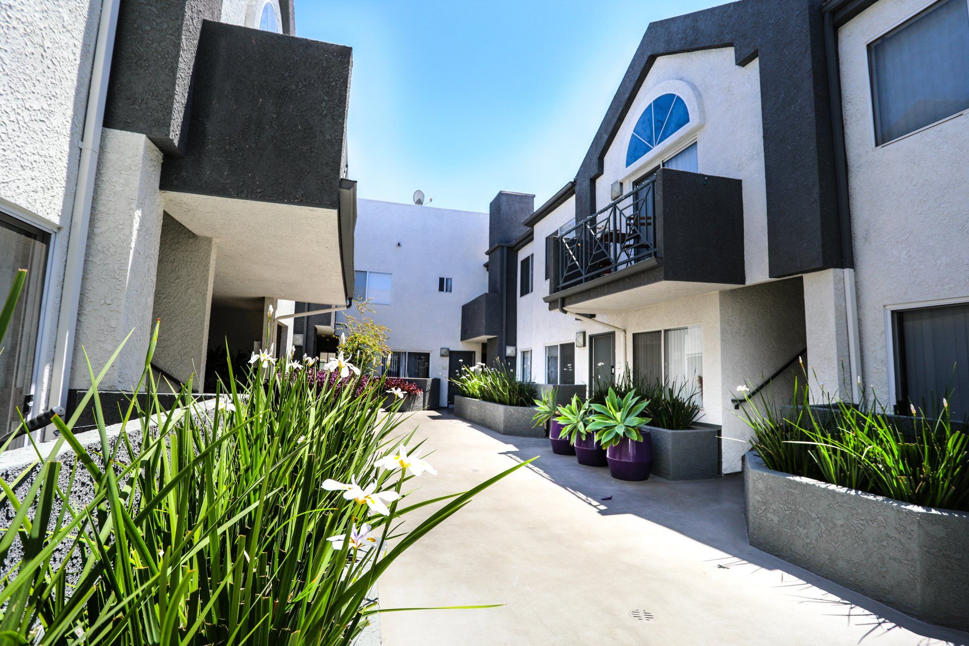 Merlot Property Image