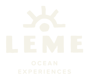 Logo LEME