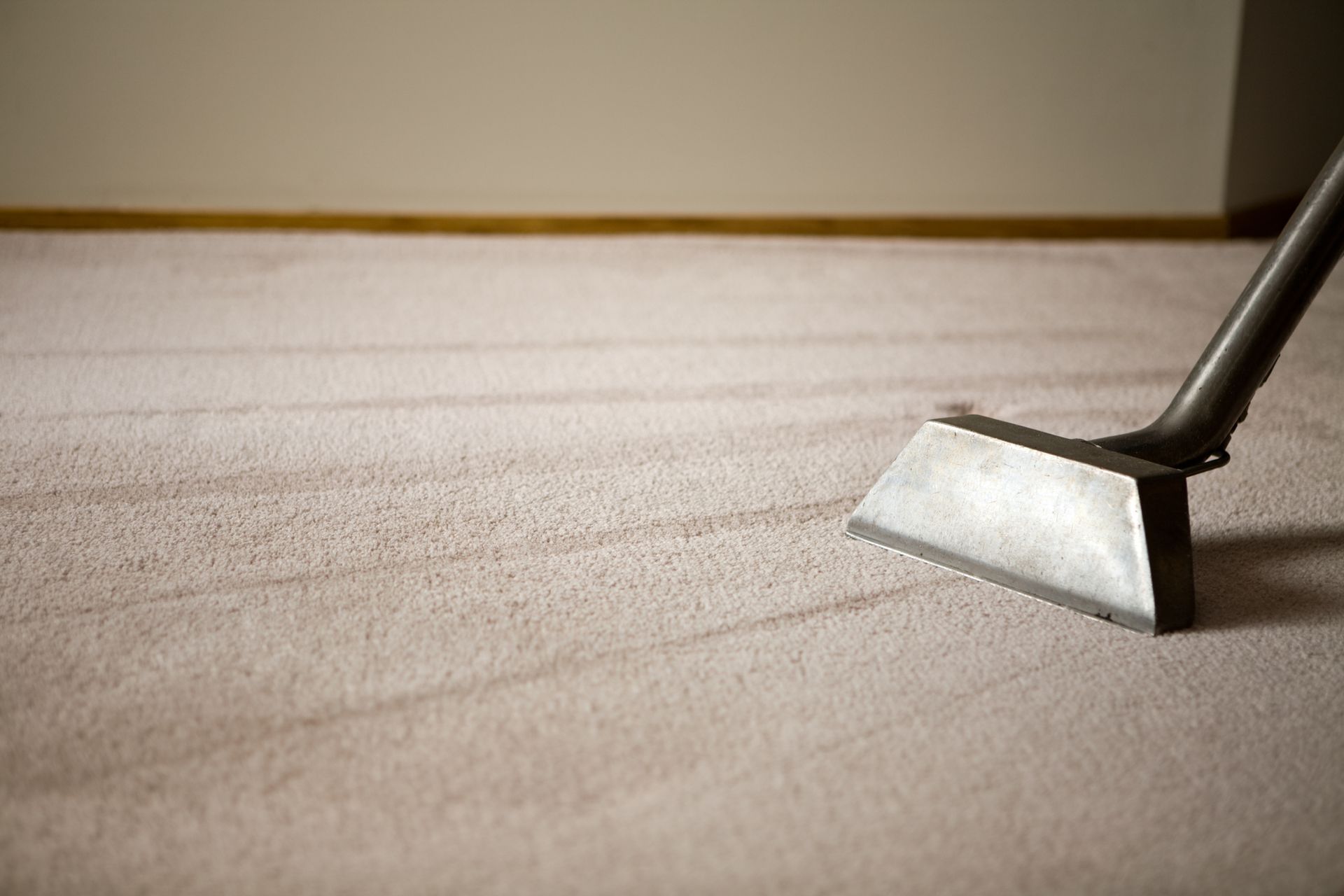 Man Removing Dirt From Carpet — Wodonga, VIC — Frank’s Carpet Cleaning