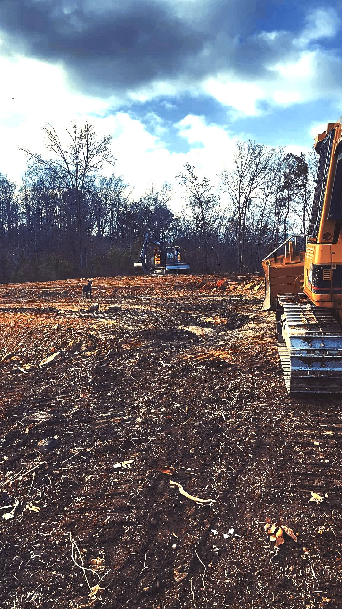 A bulldozer is driving down a dirt road next to a forest.