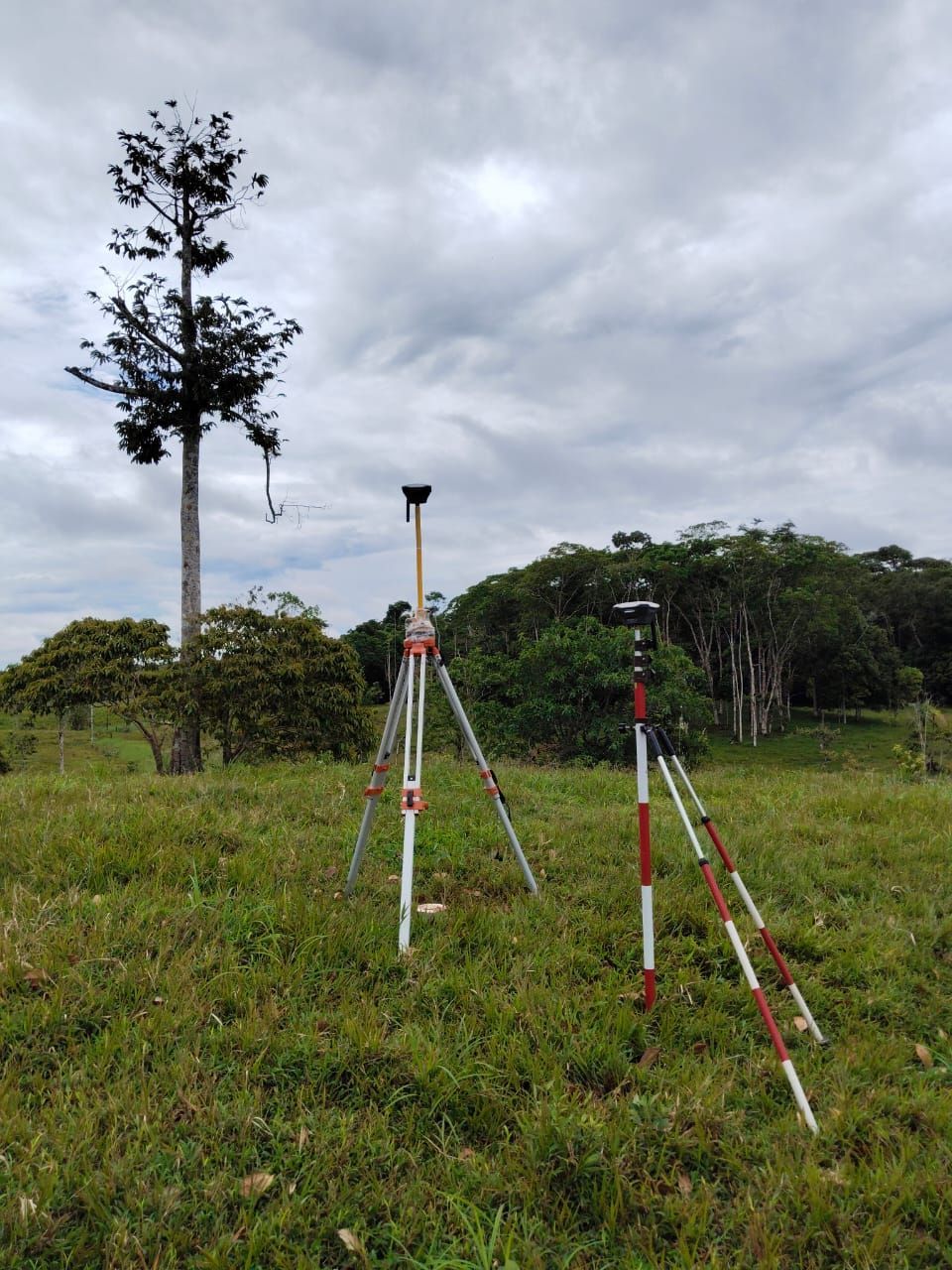 Dos trípodes de estudio en un campo de hierba, cerca de árboles y bajo un cielo nublado.