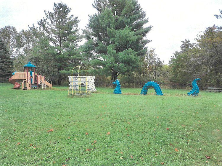 Reed City Housing 12