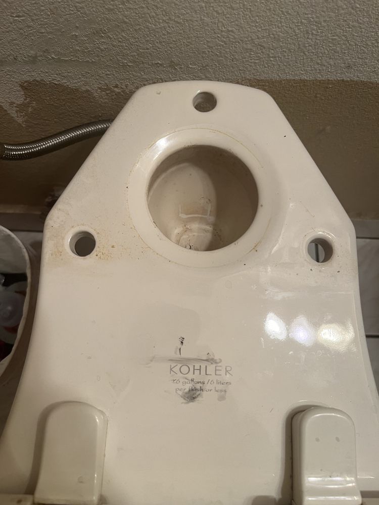 A white toilet with a hole in the middle of it.