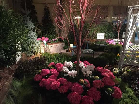 Floral Design - Lawncare and Landscaping in Nashville, TN