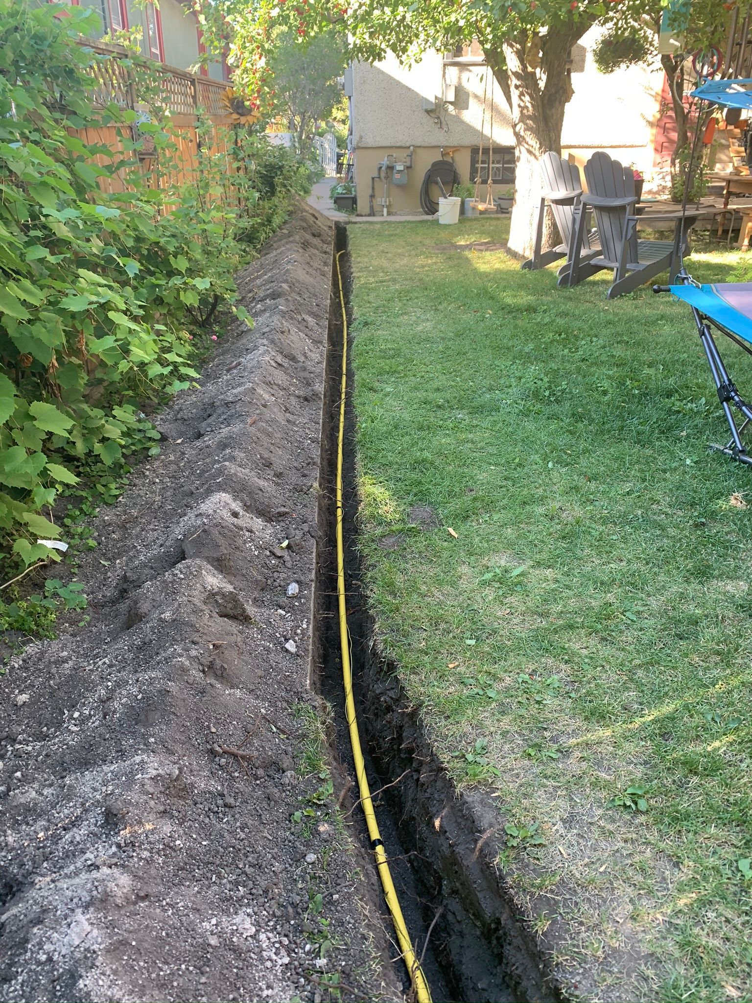 A yellow hose is laying in the dirt in a backyard next to a house.
