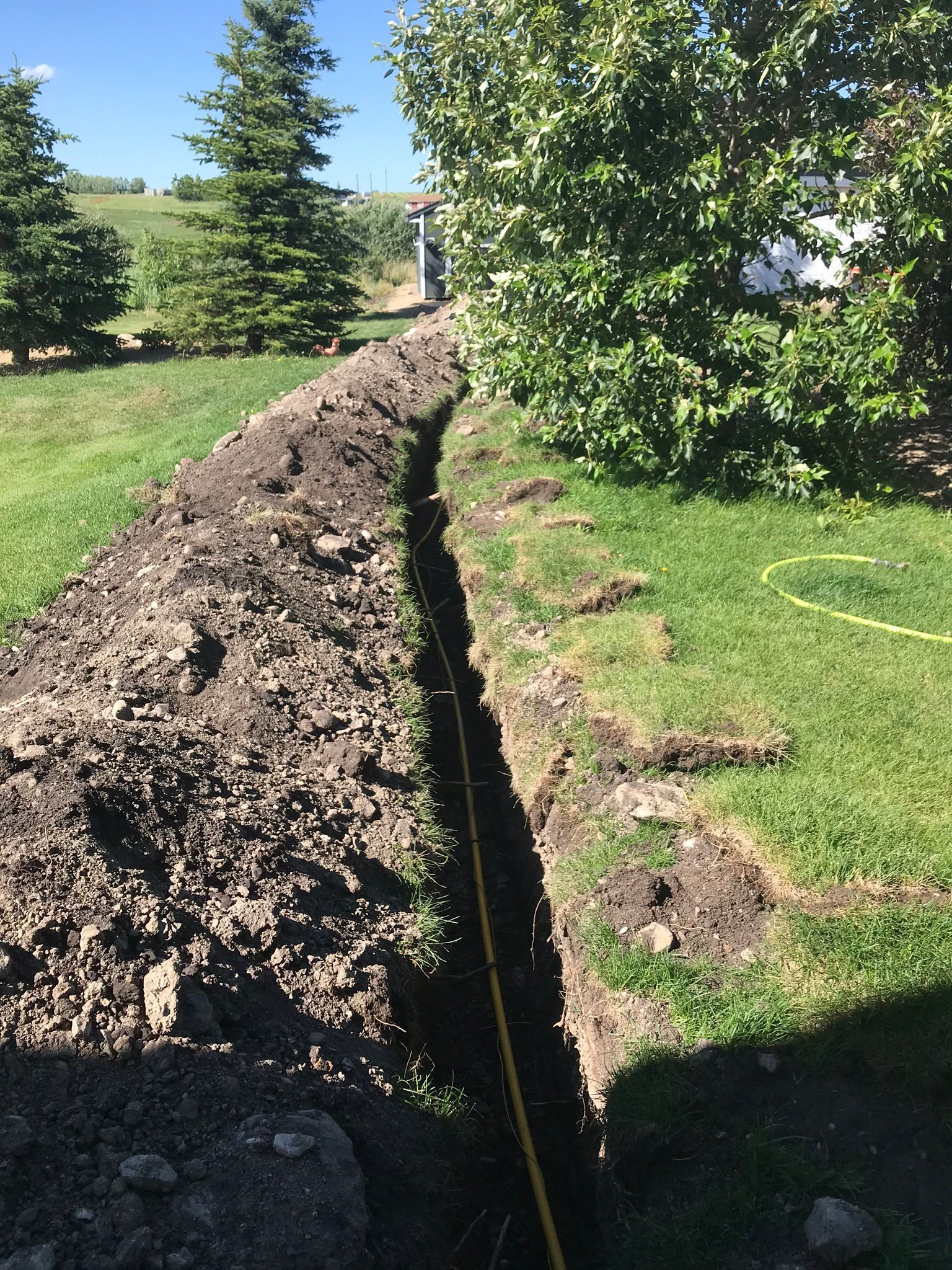 A large trench in the middle of a grassy field with trees in the background.