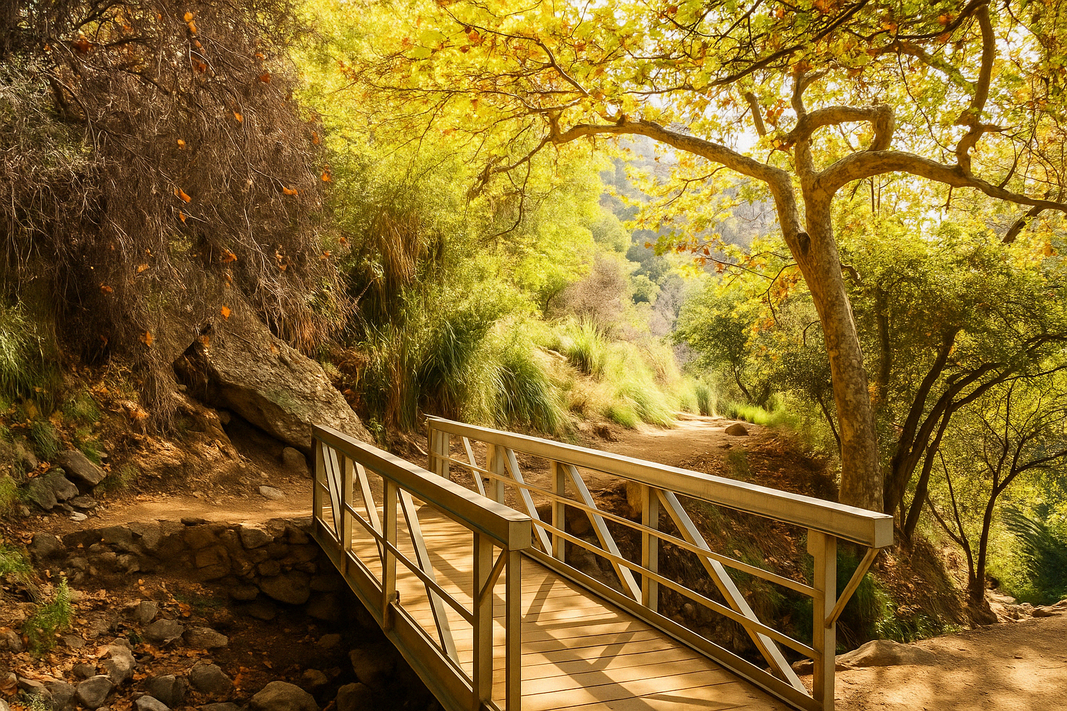 A wooden bridge in the middle of a forest.