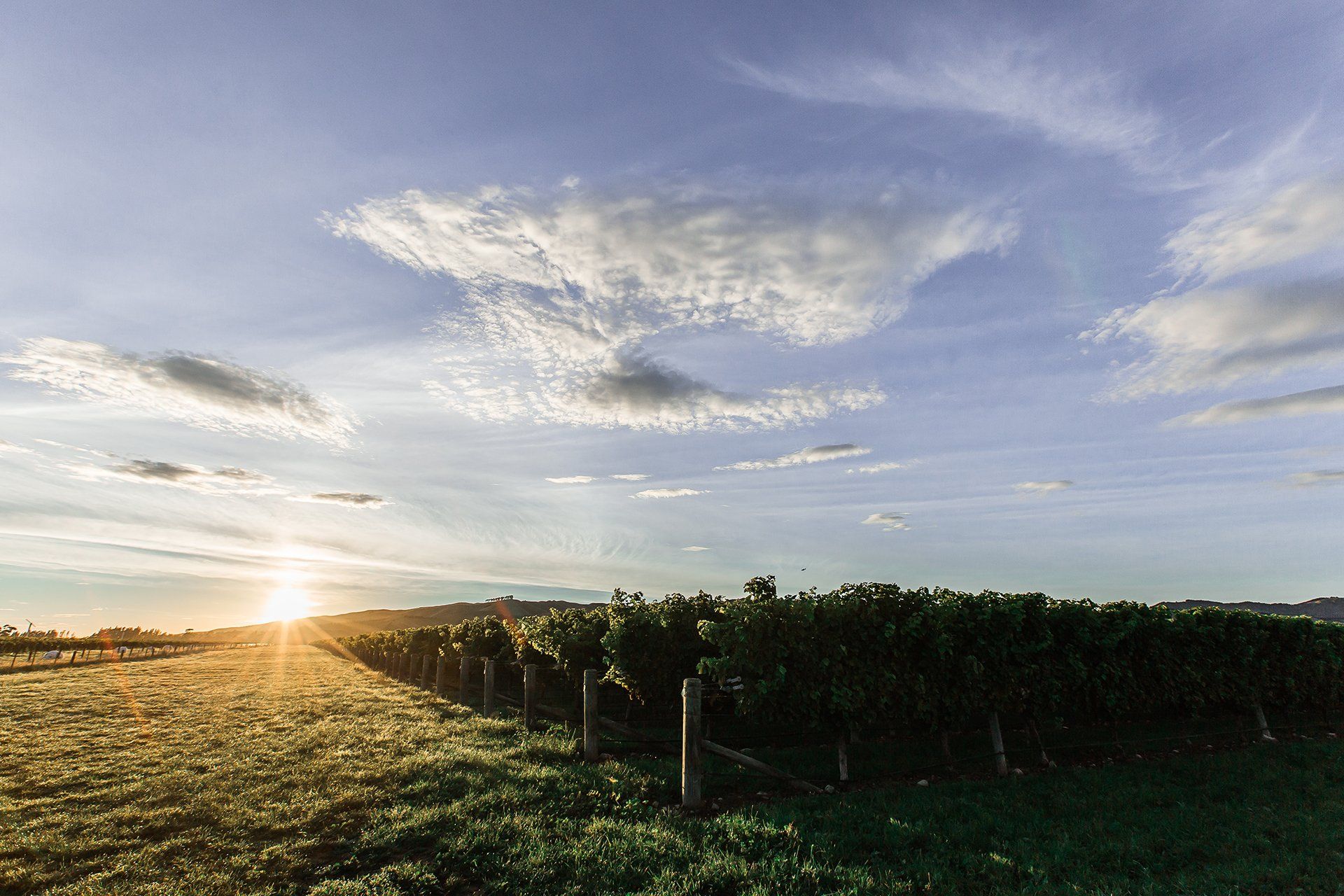 Commercial Photography by Lisa Duncan Photography Marlborough NZ