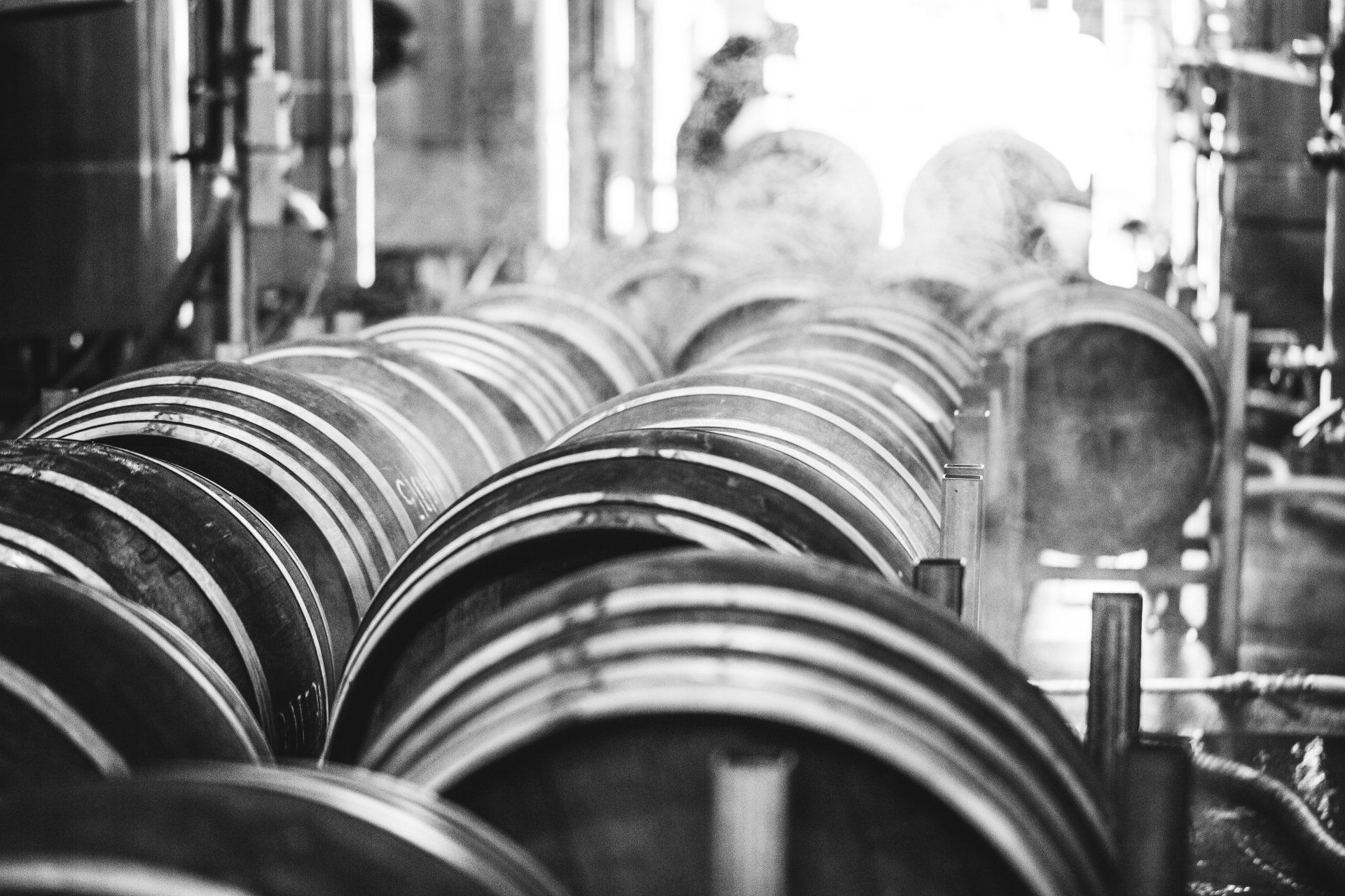 Commercial Photography by Lisa Duncan Photography Marlborough NZ