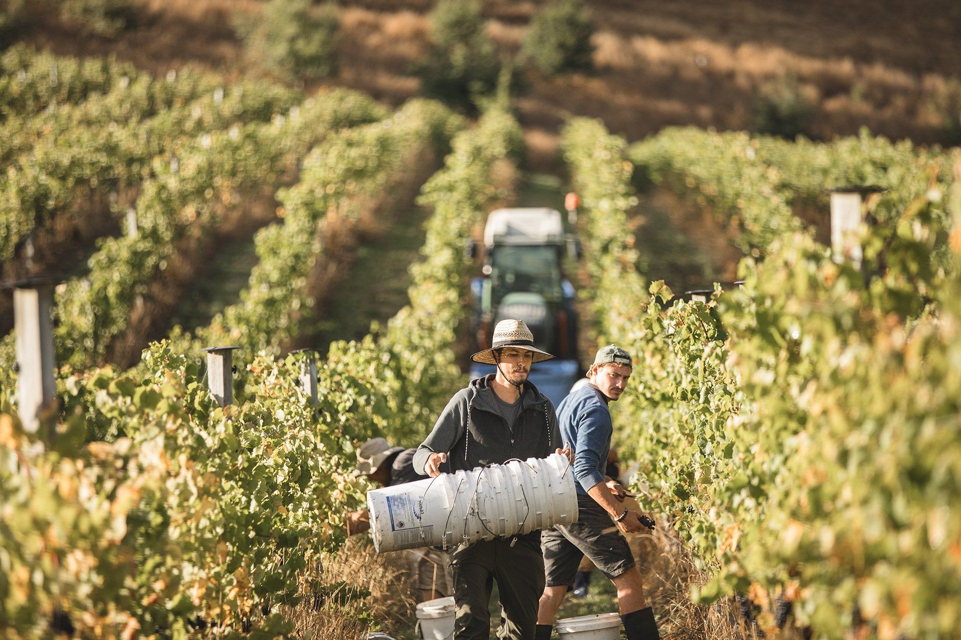 Commercial Photography by Lisa Duncan Photography in Marlborough NZ