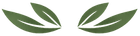 Two green leaf-like wings facing inward on a white background