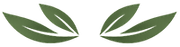 Two green leaf-like wings facing inward on a white background