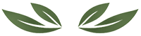 Two green leaf-like wings facing inward on a white background