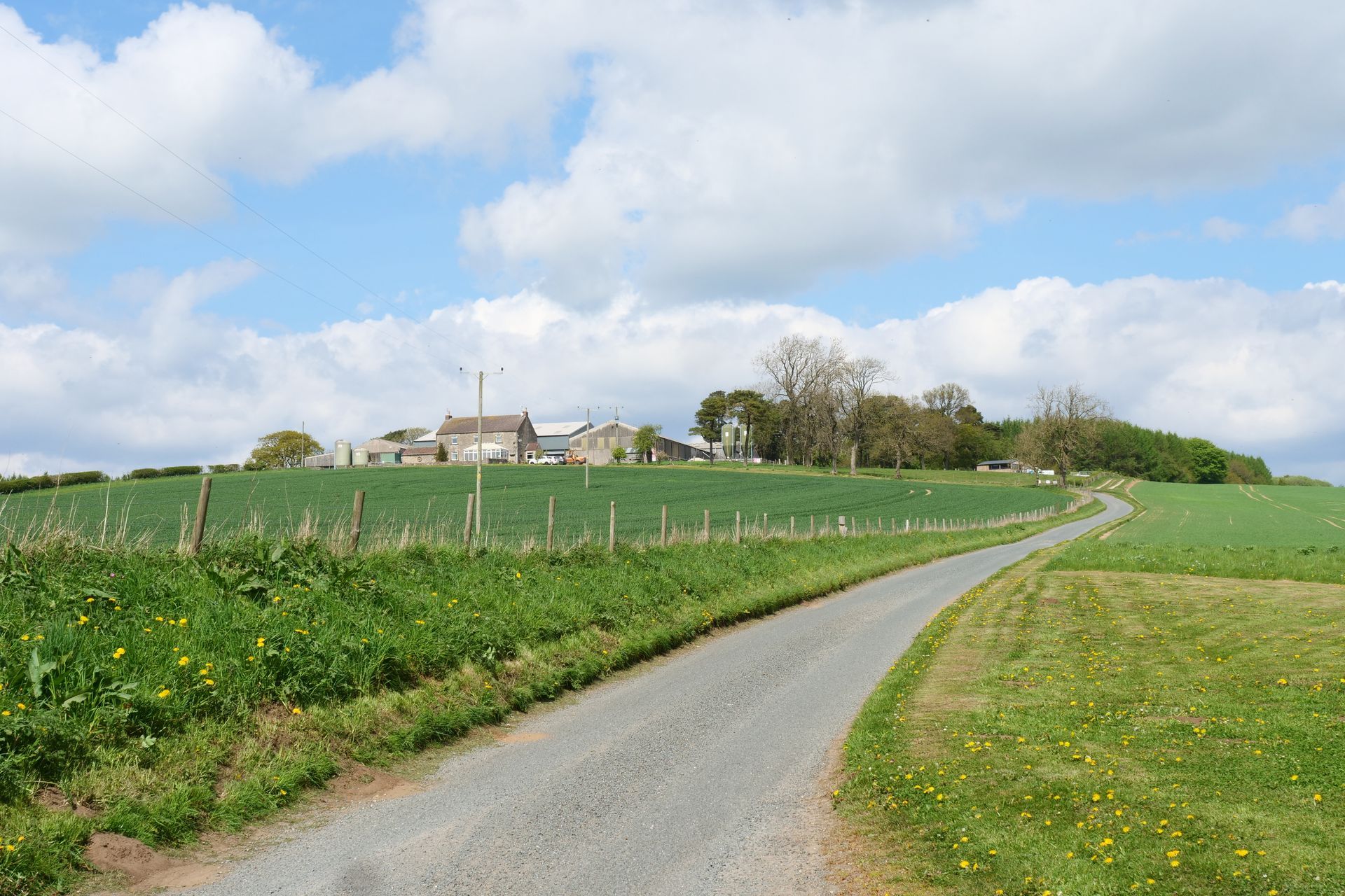 Country road curving past green fields toward a farmhouse under a partly cloudy sky