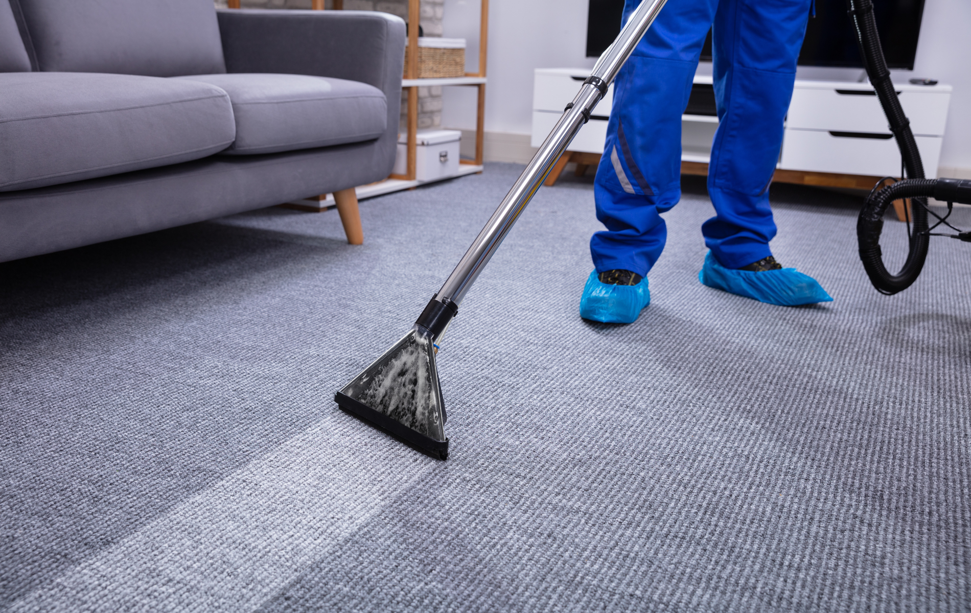 A person is cleaning a carpet with a vacuum cleaner in a living room.