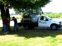 Tree Service, Landscape Spraying Service, A Better Service By Wolbert's Olympic Services Inc., Chehalis, WA