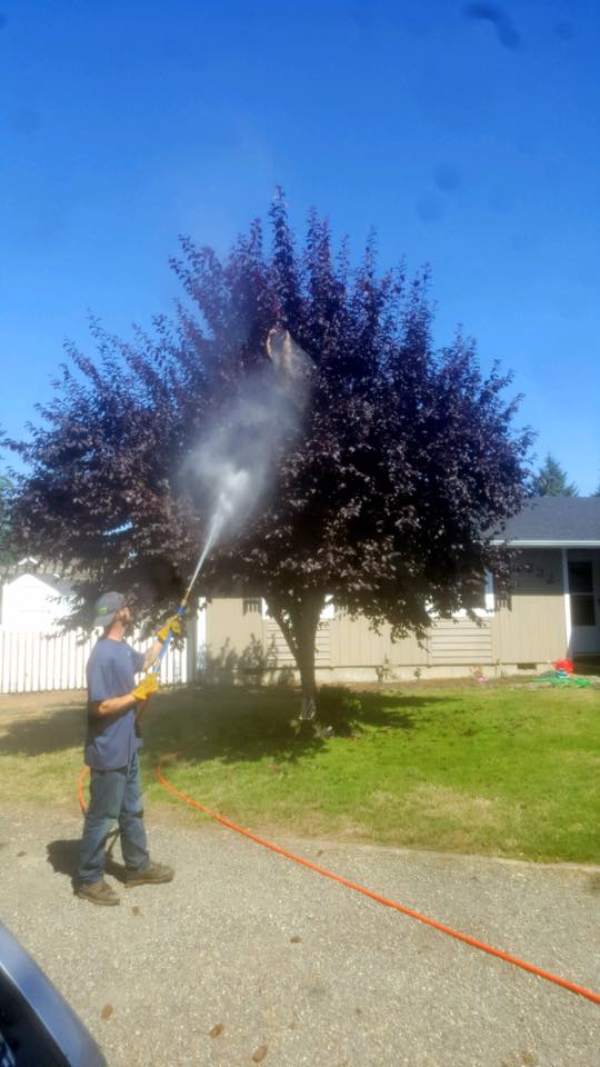 Landscape Spraying Service, A Better Service By Wolbert's Olympic Services Inc., Chehalis, WA