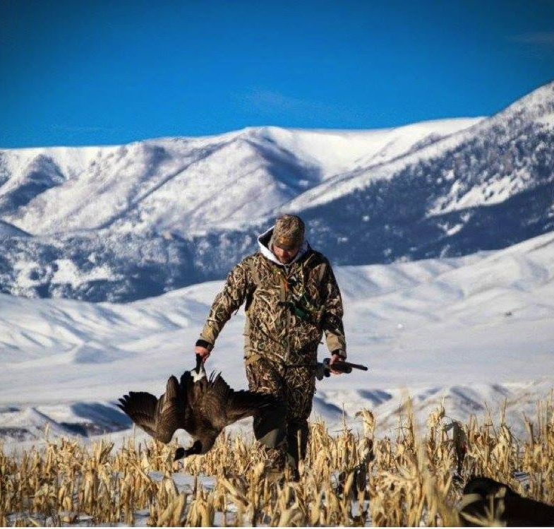 Wyoming Canada Goose Hunting