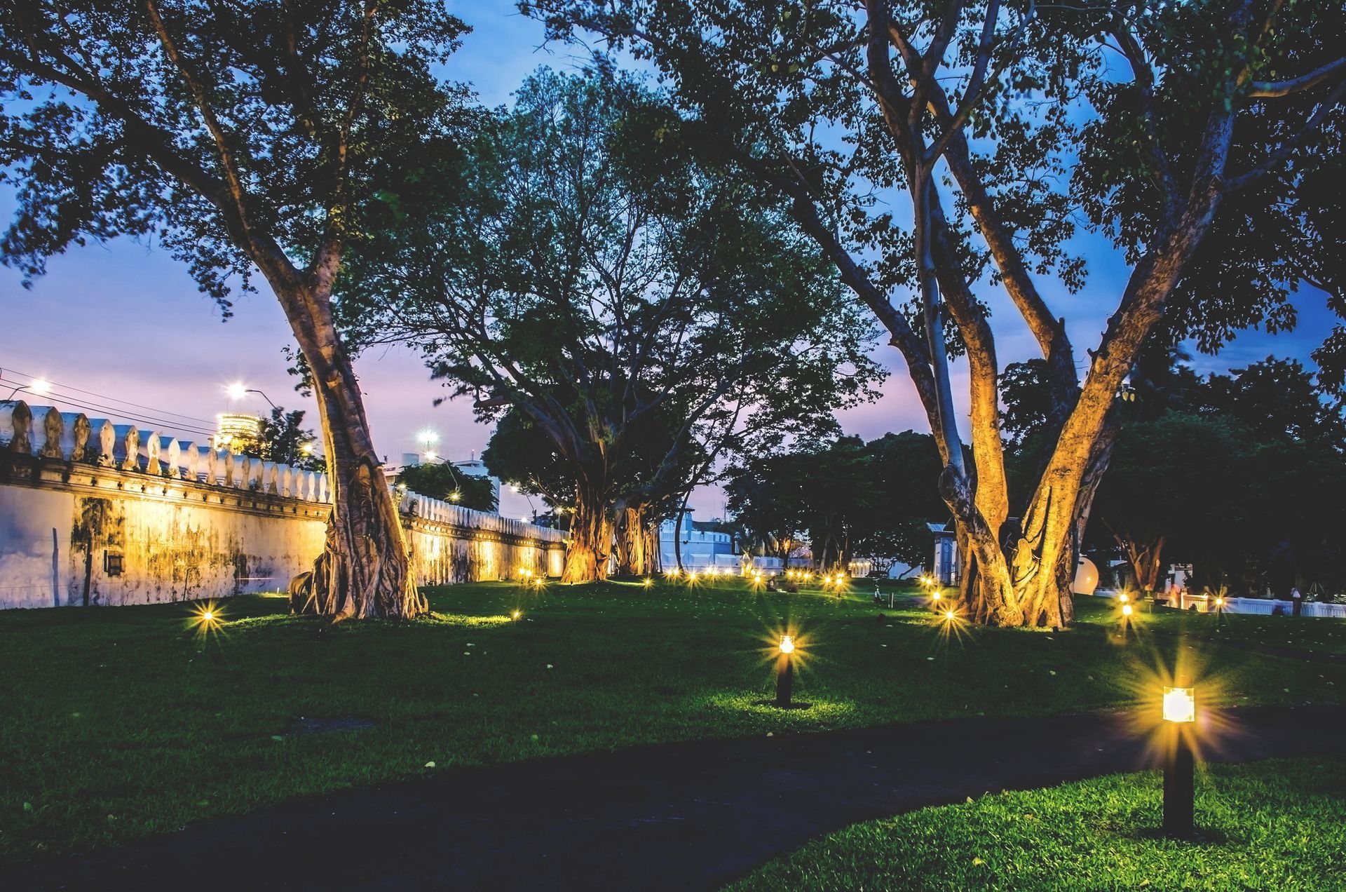 A row of trees are lit up at night in a park