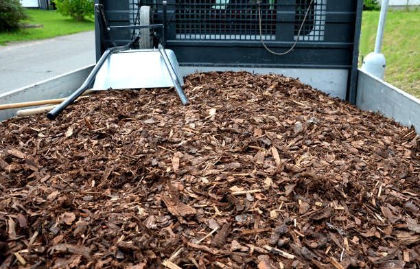 The back of a truck filled with wood chips and a shovel.