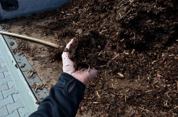 A person is holding a pile of dirt in their hand.
