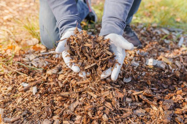 A person is holding a pile of mulch in their hands.