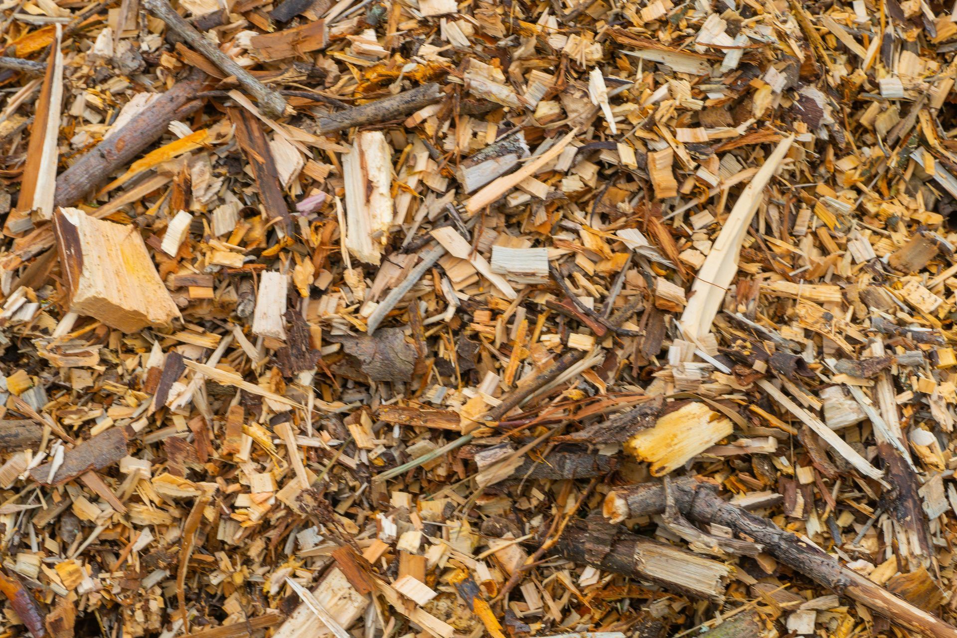 A pile of wood chips and branches on the ground.