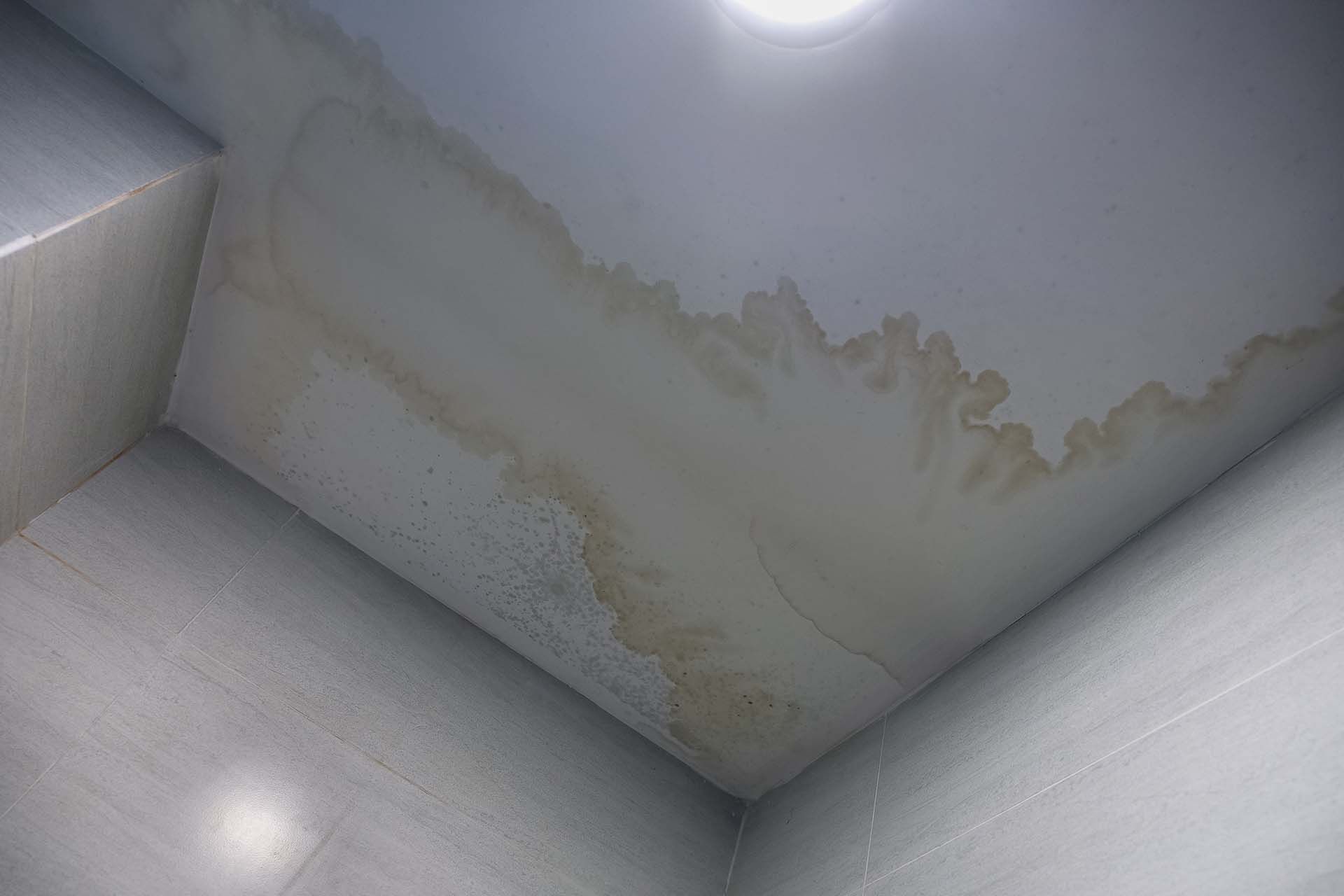 Water Stains on Ceilings
