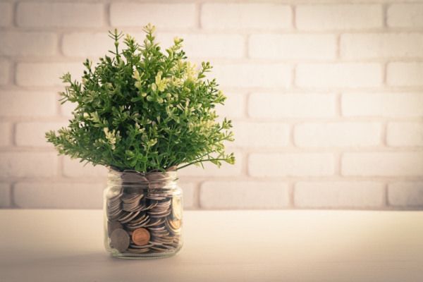 A plant in a jar filled with coins on a table.