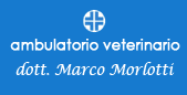 MARCO MORLOTTI AMBULATORIO VETERINARIO-LOGO MARCO MORLOTTI AMBULATORIO VETERINARIO-LOGO