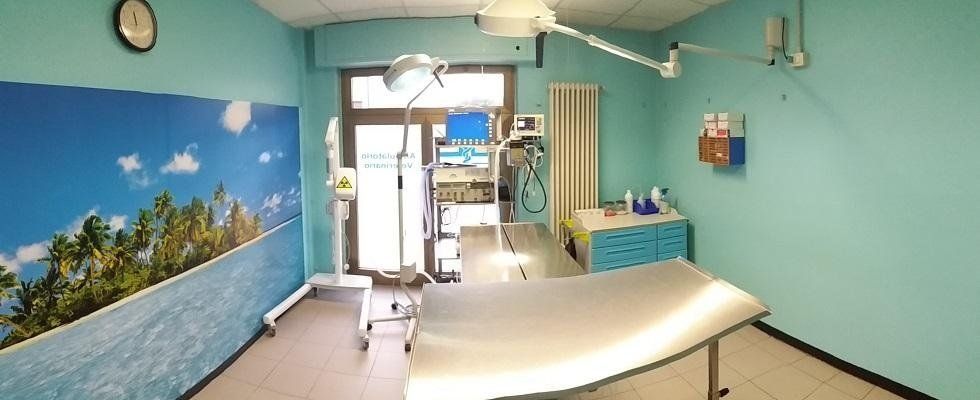 Ambulatorio veterinario