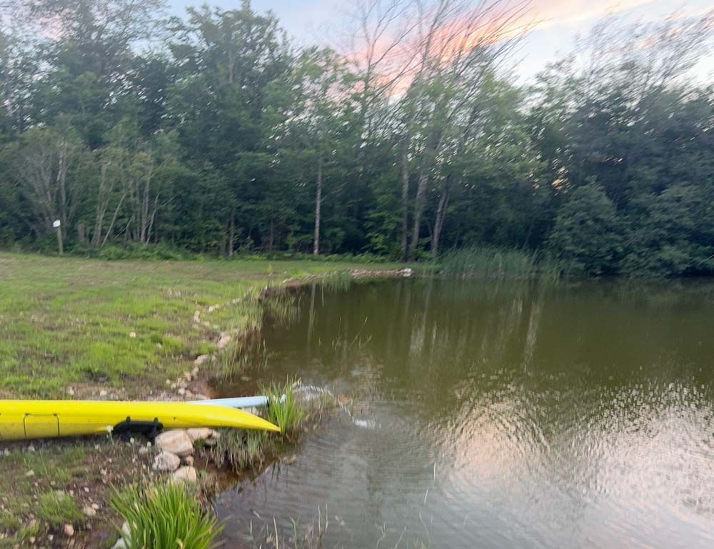 A kayak at the edge of a pond with green water. Green trees and grass in the background. Pink and blue sky.