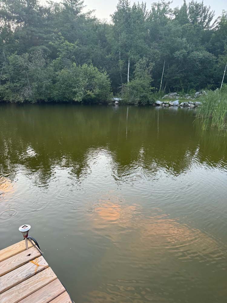 Wooden dock on a murky pond reflects sky and trees.