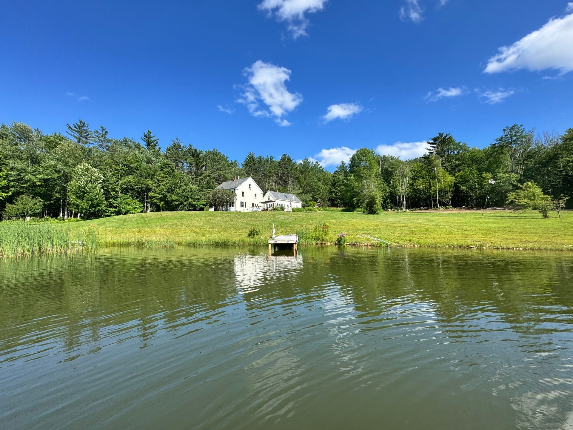 A serene lakeside scene with a white house nestled amongst trees under a bright blue sky.