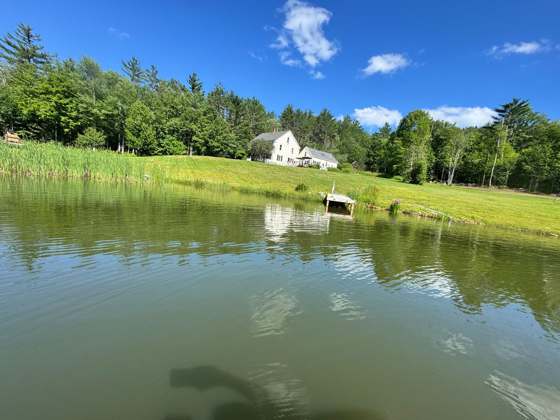 A serene pond with a house on a grassy hill under a bright blue sky.