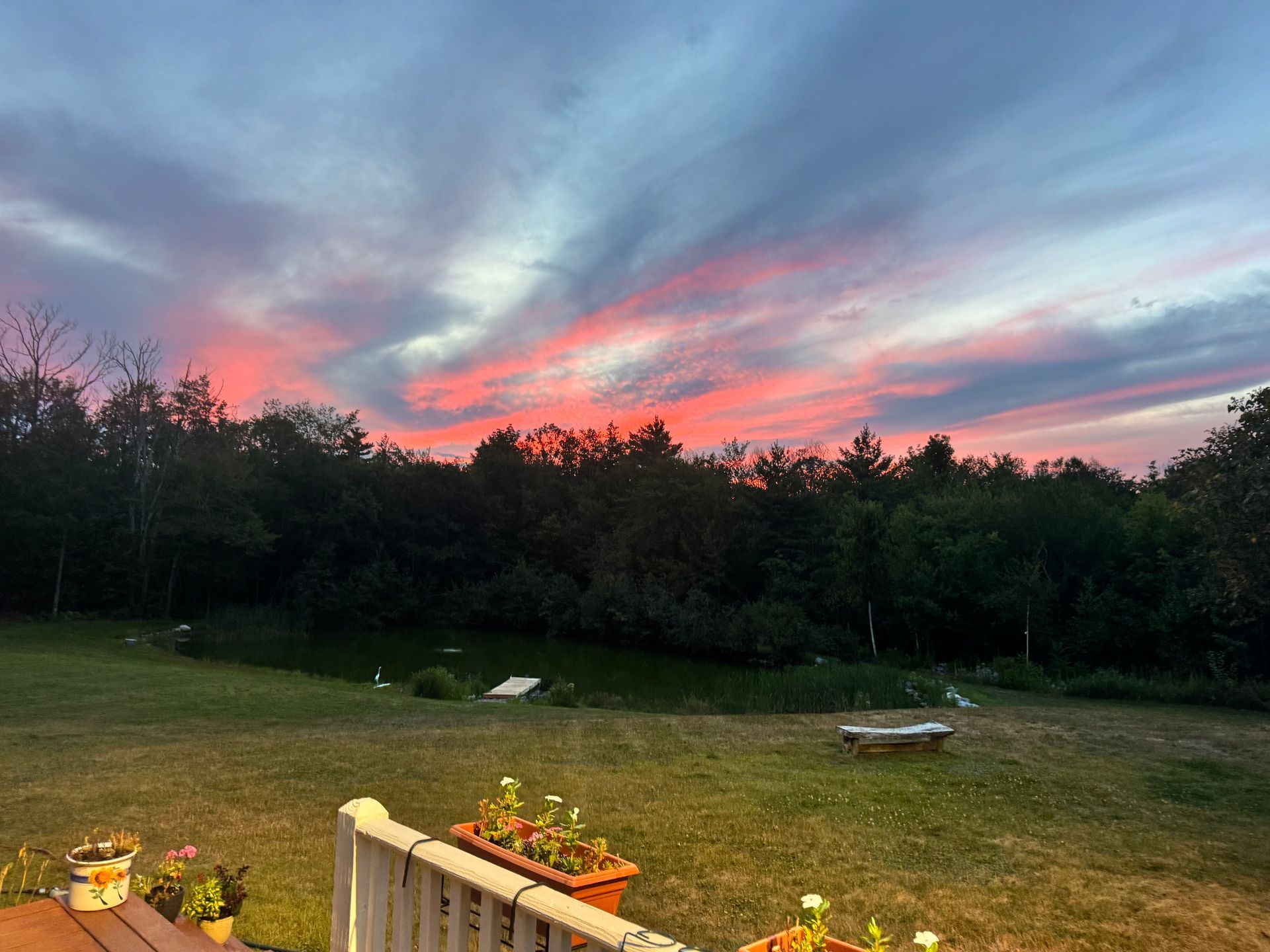 Vibrant pink and orange sunset over a dark treeline, viewed from a grassy yard with a deck.
