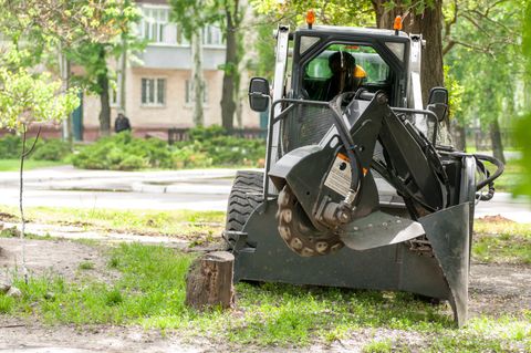 Land Clearing - Roanoke Tree Trimming and Stump Grinding Services