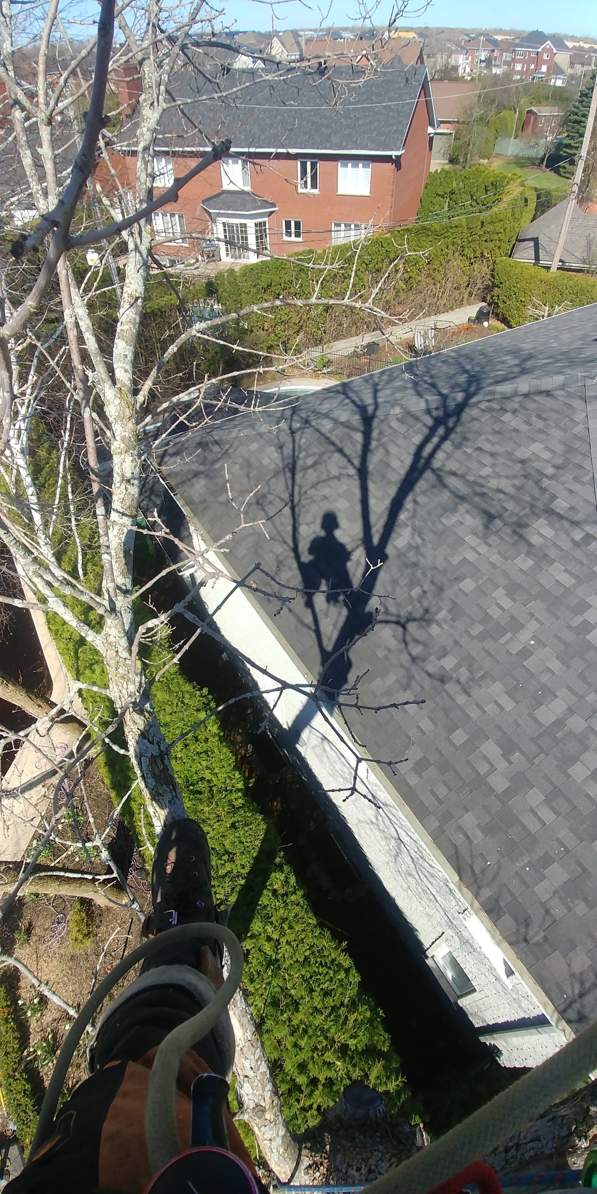 Une personne coupe un arbre avec une tronçonneuse sur un toit.